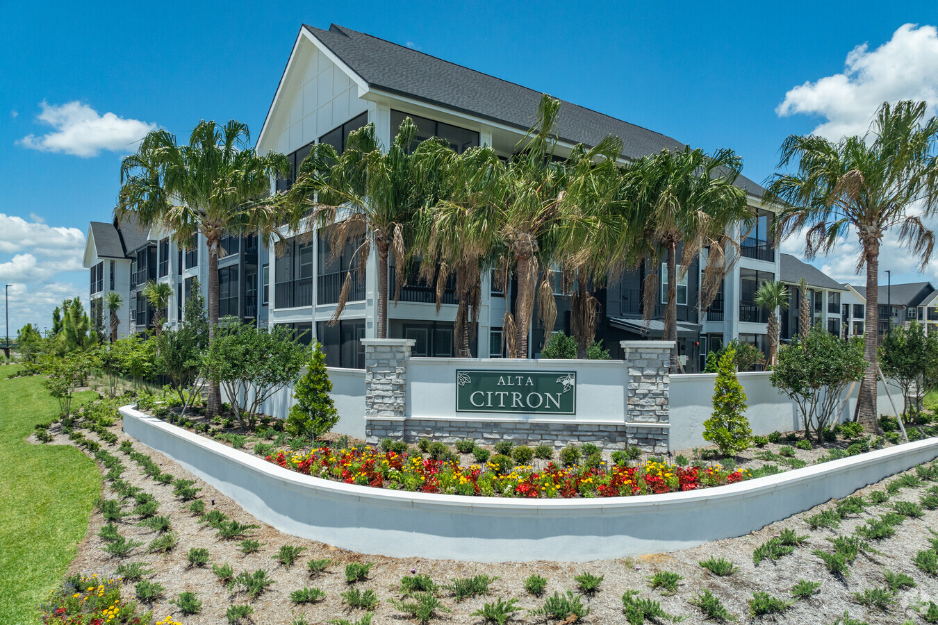 Alta Citron